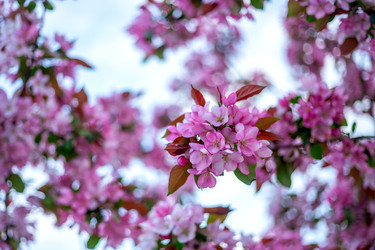 Similar image 22620083