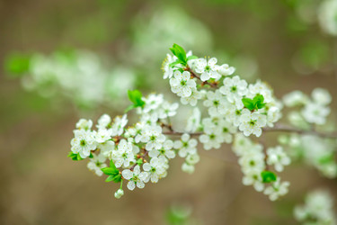 Similar image 22620099