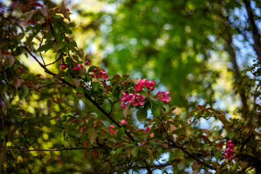 Similar image 22620111