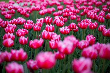 Similar image 22620114