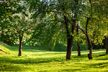 Similar image 22620118