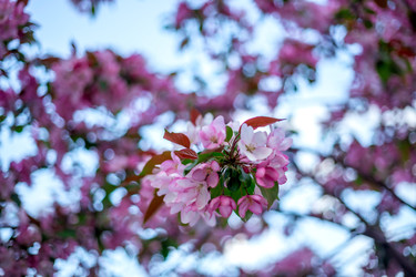 Similar image 22620119