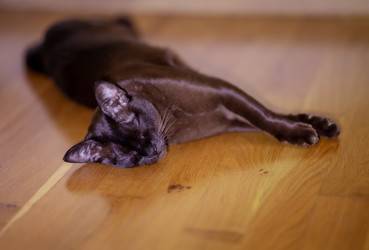 Similar image 22620120