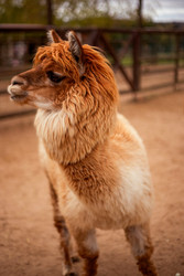 Similar image 22620121