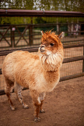 Similar image 22619764