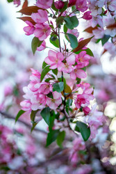 Similar image 22619769