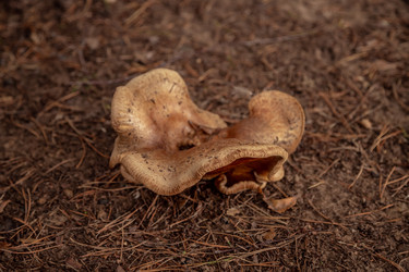 Similar image 22619770