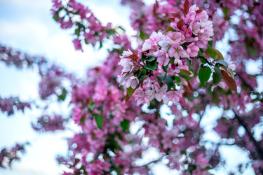 Similar image 22619771