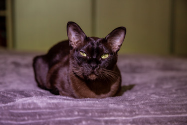 Similar image 22619784