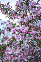 Similar image 22619786