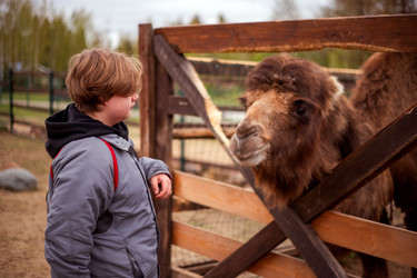 Similar image 22619787