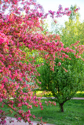 Similar image 22619797