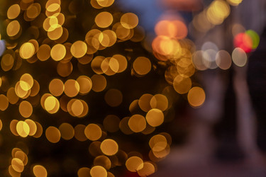 Similar image 22619801