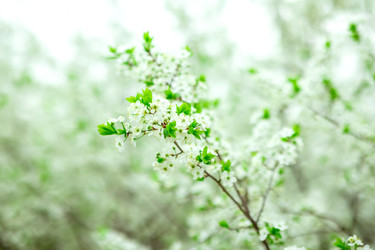 Similar image 22619809