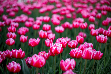 Similar image 22619813