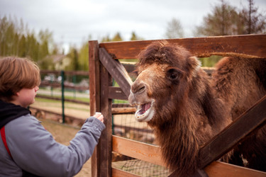 Similar image 22619814