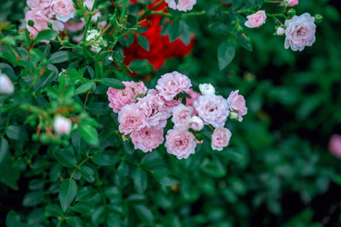 Similar image 22619817