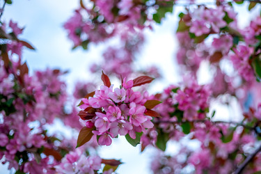 Similar image 22619827