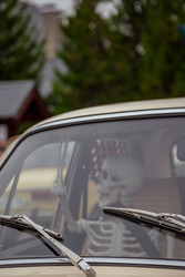 Similar image 22619829