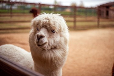 Similar image 22619831