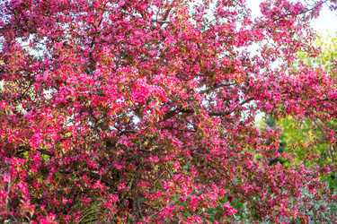 Similar image 22619832