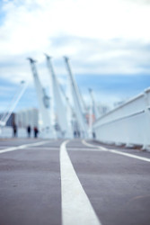 Similar image 22619843