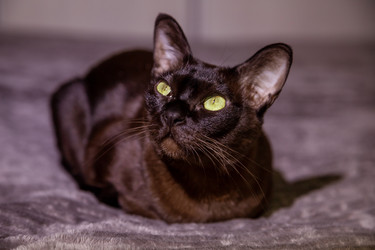 Similar image 22619845