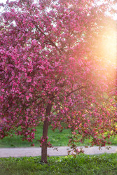 Similar image 22619846