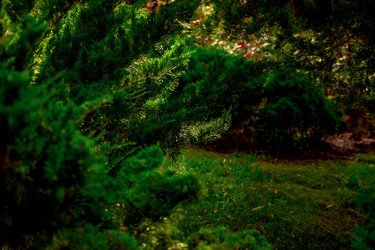 Similar image 22619848