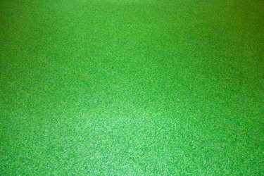 Similar image 22619849