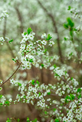 Similar image 22619859