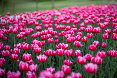 Similar image 22619860