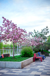 Similar image 22619863