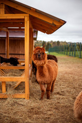 Similar image 22619895