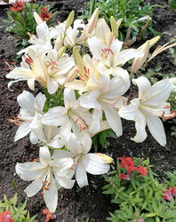 Similar image 22611602