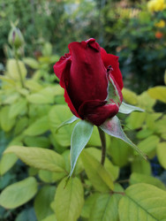 Similar image 22611603