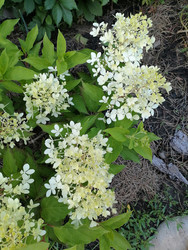 Similar image 22611604