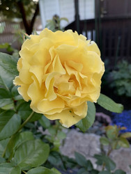 Similar image 22611605