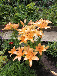 Similar image 22611606