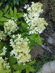 Similar image 22611607