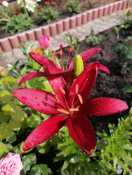 Similar image 22611608