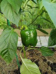 Similar image 22611609