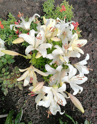 Similar image 22611610