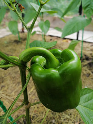 Similar image 22611611