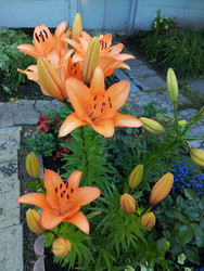 Similar image 22611613