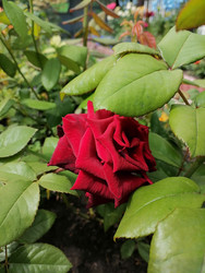 Similar image 22611614