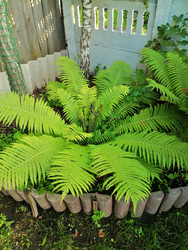 Similar image 22611615