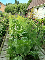 Similar image 22611627