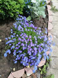 Similar image 22611628