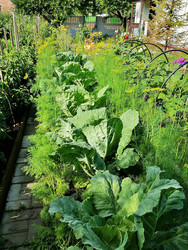 Similar image 22611629